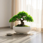 Bonsai-potte